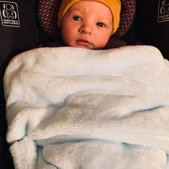 Meet your Posher, William - Picture 1 of 1